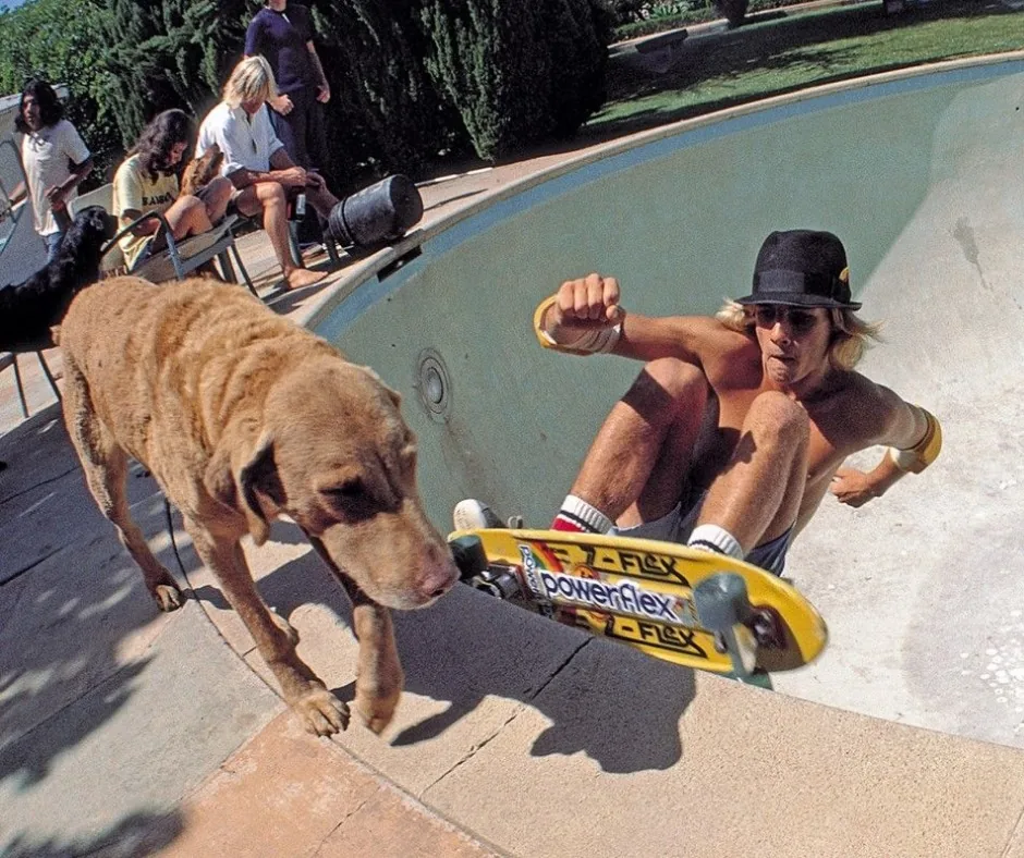 Z-Flex Pool Riding with Dog