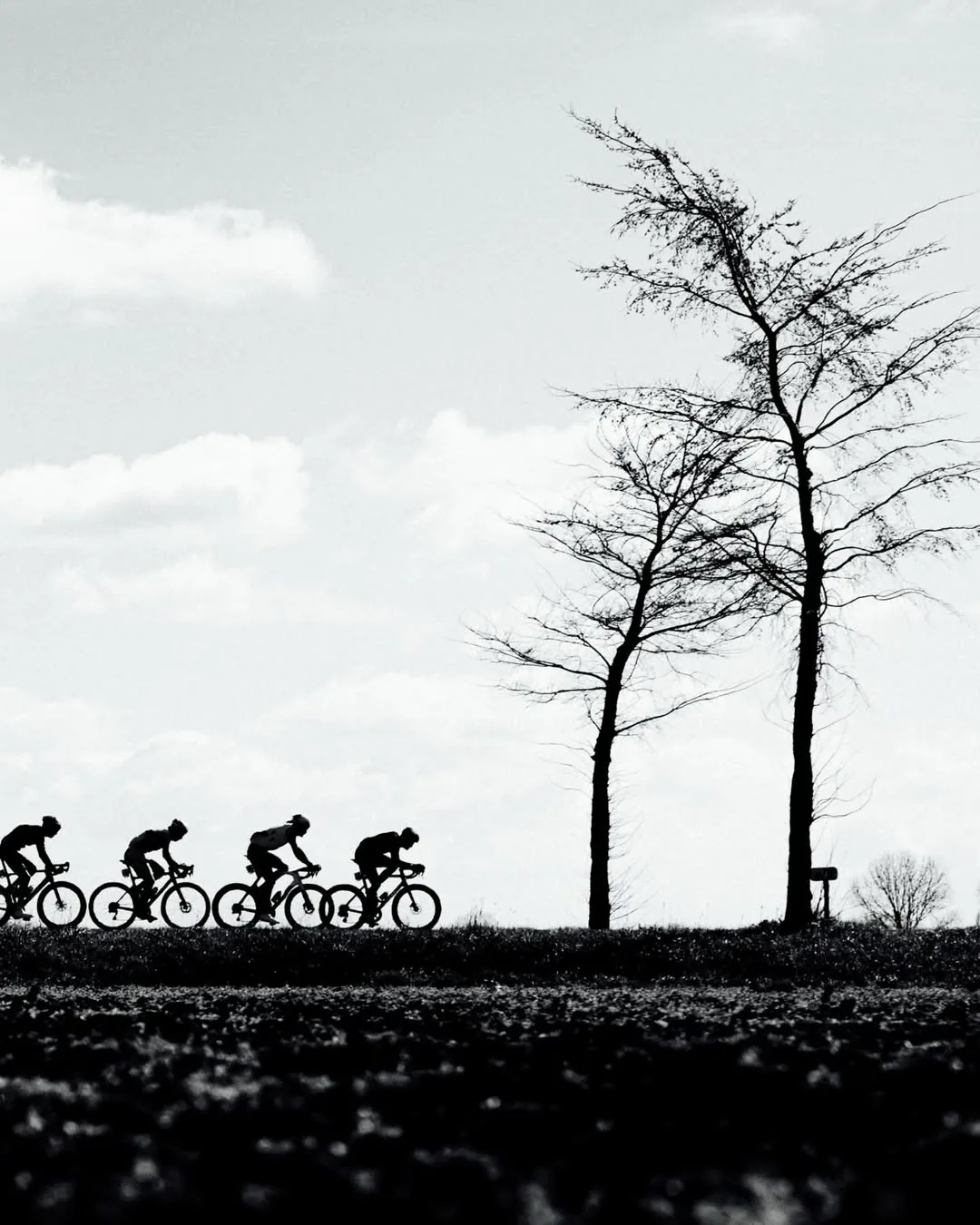 Riders Between Bare Trees