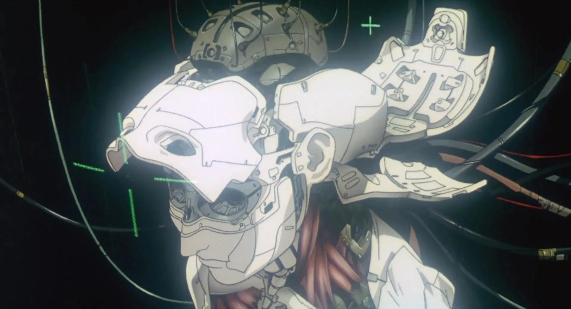 Ghost in the Shell Cyborg